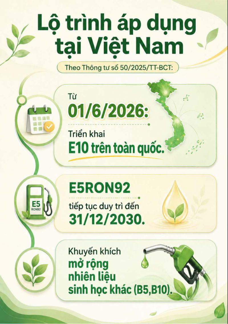 Cẩm nang sử dụng xăng sinh học E10